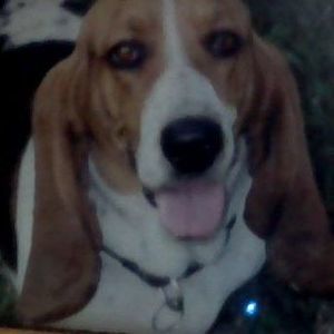 Meet your Posher, Ruben